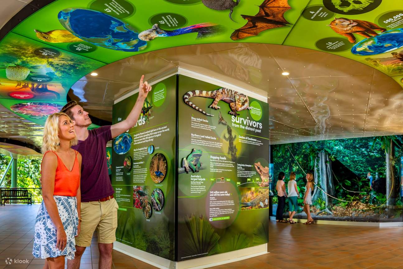 열대우림의 경이로움을 발견할 수 있는 Rainforest Discovery Zone에서 즐거운 시간을 보내세요.